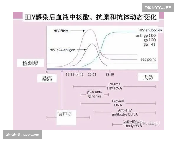 世界杯预选赛分为两个阶段共六个窗口期 晋级规则详解